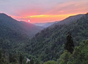 north-carolina/great-smoky-mountains/landmark/ben-morton-overlook