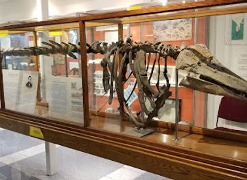 vermont/chittenden-county/landmark/the-perkins-geology-museum