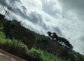 ghana/wa/landmark/boabeng-fiema-monkey-sanctuary