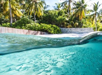 maldives/gaafu-dhaalu-atoll/landmark/blue-journeys-at-park-hyatt-maldives-hadahaa