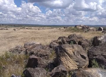 oregon/lake-county/landmark/sunstone-public-collection-area