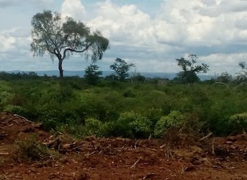 paraguay/upper-chaco/landmark/parque-nacional-defensores-del-chaco