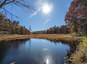 connecticut/litchfield-hills/landmark/white-memorial-conservation-center