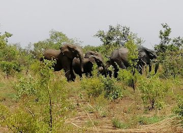 benin/comoe-national-park/landmark/pendjari-national-park