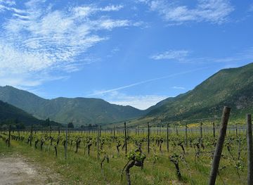 chile/colchagua-valley/landmark/vina-neyen-de-apalta
