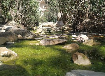 cyprus/adonis-baths-waterfalls/landmark/avakas-gorge-nature-trail