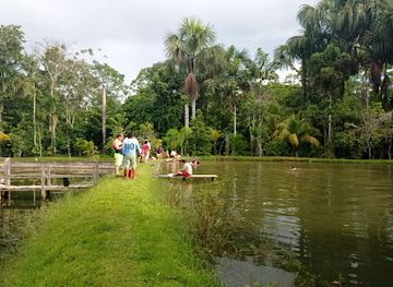 peru/iquitos/landmark/fundo-pedrito