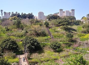 south-korea/jeju-city/jungmun/landmark/chocolate-land