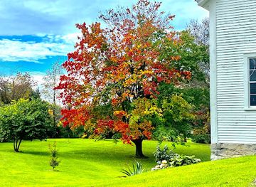 vermont/addison-county/landmark/the-windswept