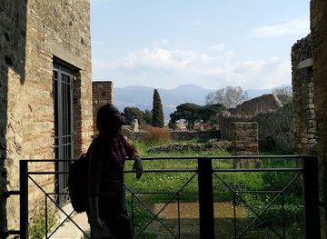 italy/pompeii/landmark/fullery-of-stephanus