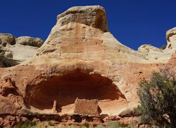 utah/canyonlands/landmark/canyons-of-the-ancients-visitor-center-museum
