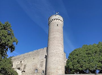 estonia/laane-county/landmark/tall-hermann