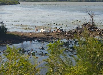 ohio/great-black-swamp/landmark/magee-marsh-wildlife-area