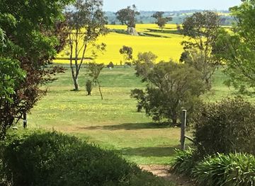 australia/riverina/landmark/canola-trail