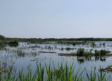 netherlands/ijsselmeer-polders/landmark/zwanenwater