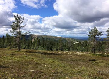 sweden/dalarna/landmark/stadjan-nipfjallet-reserve