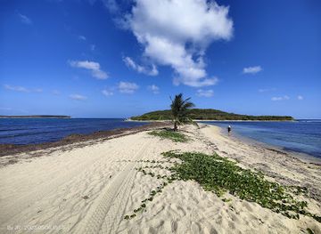 puerto-rico/vieques-island/landmark/playa-punta-arenas