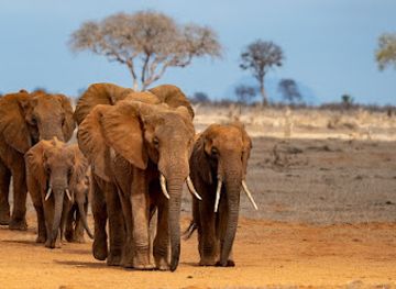 kenya/tsavo-region/landmark/tsavo-national-park