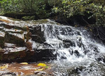 south-africa/amatola-mountains/landmark/kologha-forest