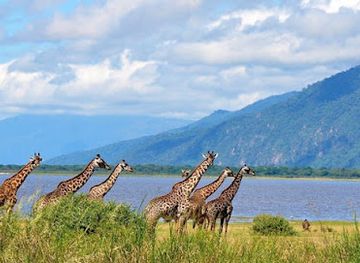 tanzania/lake-zone/landmark/lake-manyara-national-park