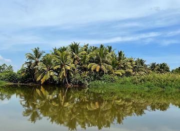 sri-lanka/matara/landmark/nilwala-crocodile-safari-matara