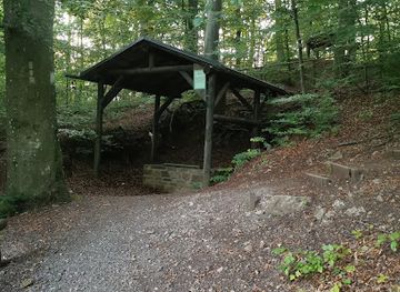 germany/eifel-national-park/landmark/blankenheim-forest