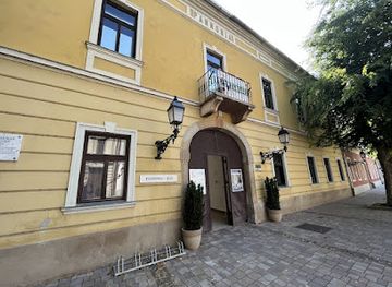 hungary/vac/landmark/pannonia-haz