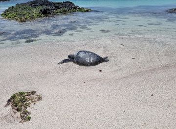 ecuador/galapagos-islands/landmark/galapagos-path