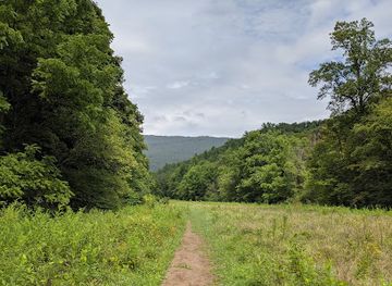 virginia/blue-ridge-highlands/landmark/falls-ridge-preserve