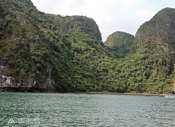 vietnam/ha-long/bai-chay/landmark/bai-chay-market