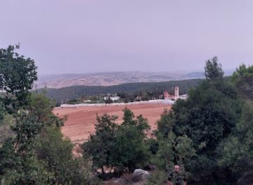 jordan/dibeen-forest/landmark/dubin