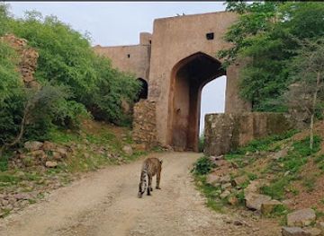 india/ranthambore/landmark/ranthambore-safari-tours