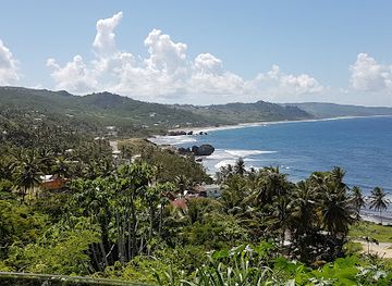 barbados/saint-thomas/landmark/totally-barbados