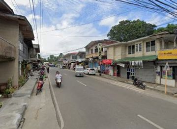 philippines/visayas/landmark/cambugahay-falls
