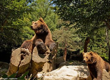 france/midi-pyrenees/landmark/animal-park-of-the-pyrenees