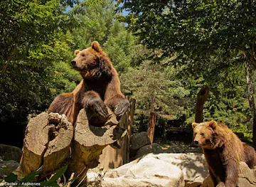 Animal Park of the Pyrenees