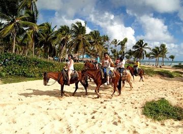 dominican-republic/la-romana/landmark/mayelin-tour-and-travel