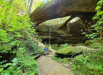 alabama/hill-country/landmark/natural-bridge-park