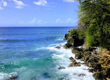 trinidad-and-tobago/buccoo-reef/landmark/fort-james