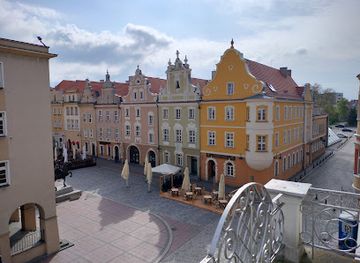 poland/opole/landmark/bronmy-swego-opolskiego
