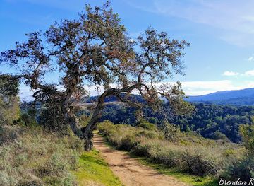 california/redwood-city/landmark/pulgas-ridge-open-space-preserve