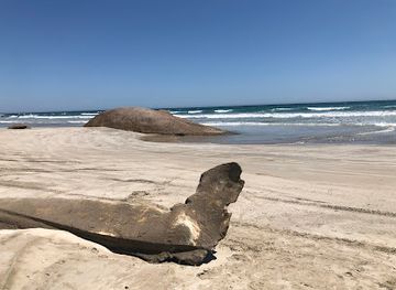 australia/limestone-coast/landmark/the-granites
