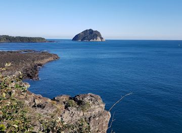 south-korea/jeju-island/landmark/seogwipo-jeongbang-waterfall