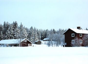 sweden/lapland/landmark/horses-of-taiga