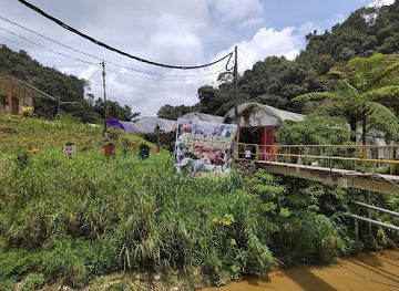 malaysia/cameron-highlands/landmark/animal-feeding-rainbow-garden