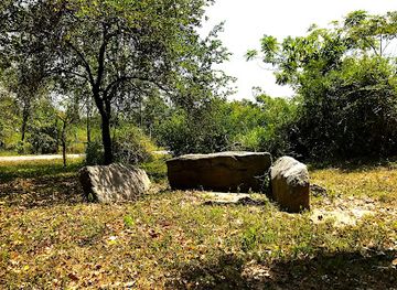 sri-lanka/north-western-province/landmark/megalithic-burial-site-of-pinwewa-gal-sohon-kanatte