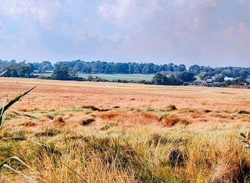 rhode-island/trustom-pond-national-wildlife-refuge/landmark/conanicut-island-sanctuary