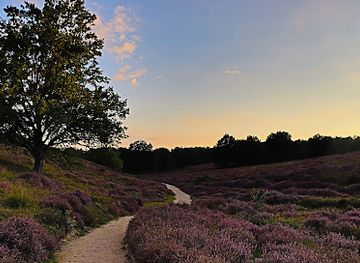 netherlands/veluwe/landmark/nationaal-park-veluwezoom