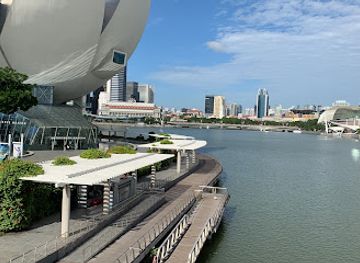 singapore/singapore/landmark/artscience-museum