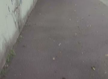 madagascar/antananarivo/anosy/landmark/anosy